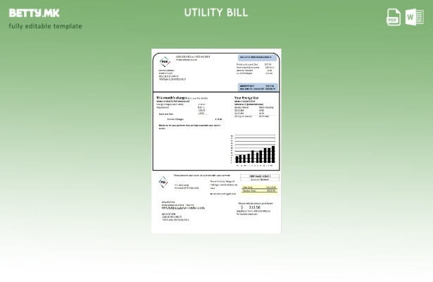 Модерен стил на САД Орегон PGE шаблон сметки за електрична енергија